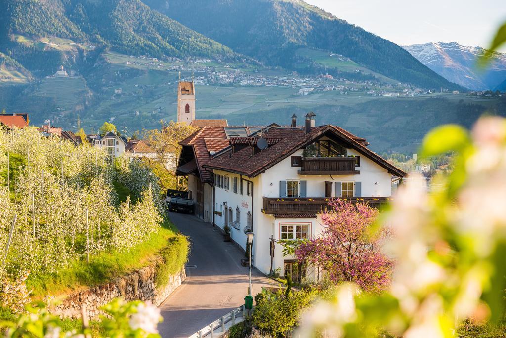 Вилла Weingut Pardellerhof Марленго Экстерьер фото