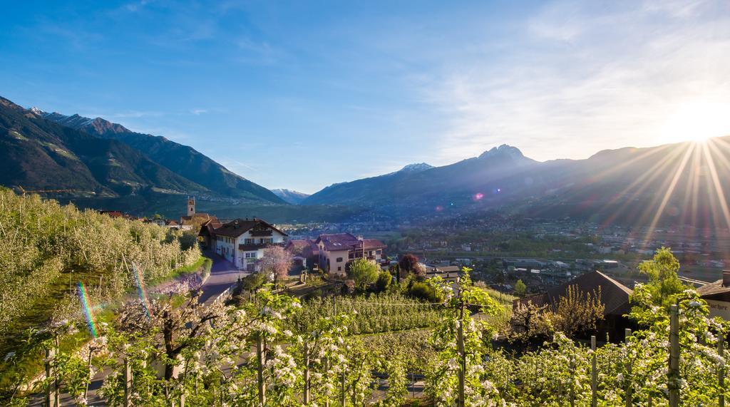 Вилла Weingut Pardellerhof Марленго Экстерьер фото